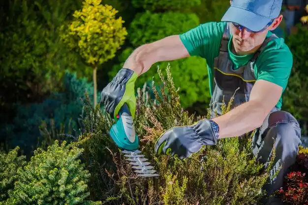 landscaping services New Lebanon